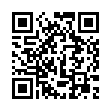 QR: betula-pendula-fastigiata