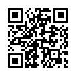 QR: pinus-mugo-carsten-wintergold